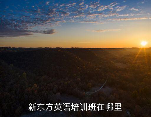 廣州新東方大學(xué)生事業(yè)部，廣州新東方怎么樣