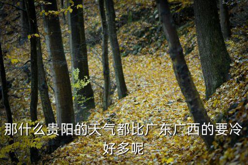 廣州和貴陽氣候?qū)Ρ龋鞘裁促F陽的天氣都比廣東廣西的要冷好多呢
