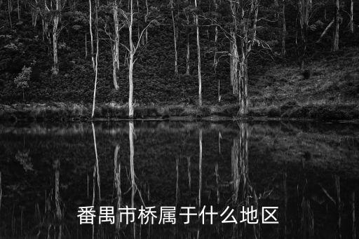 廣州市橋是屬于南沙區嗎，市橋在廣州那里