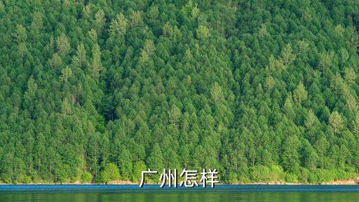 廣州怎樣