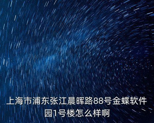 上海市浦東張江晨暉路88號金蝶軟件園1號樓怎么樣啊