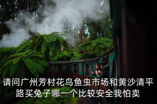 廣州芳村茶葉市場無人感染嗎，請問廣州芳村花鳥魚蟲市場和黃沙清平路買兔子哪一個比較安全我怕賣