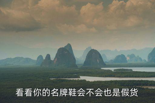 廣州耐克商標查獲，看看你的名牌鞋會不會也是假貨