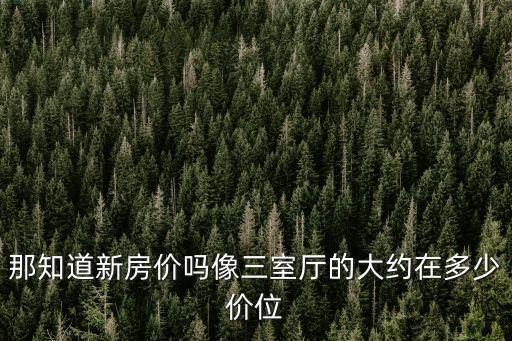 廣州中鼎君和名城新房價，那知道新房價嗎像三室廳的大約在多少價位