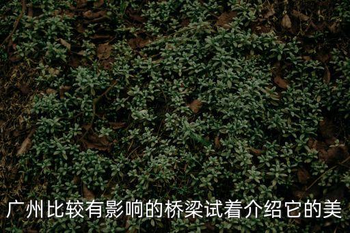 廣州比較有影響的橋梁試著介紹它的美
