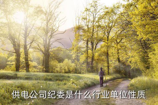 國網上海市電力公司紀委，供電公司紀委是什么行業單位性質