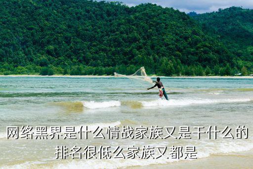 情戰家族，情戰家族是什么