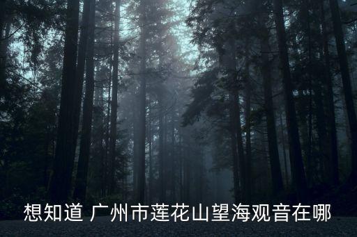 想知道 廣州市蓮花山望海觀音在哪