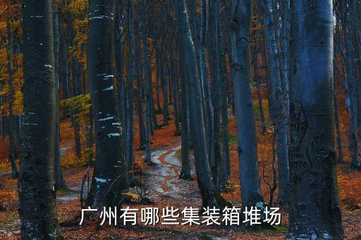 廣州有哪些集裝箱堆場