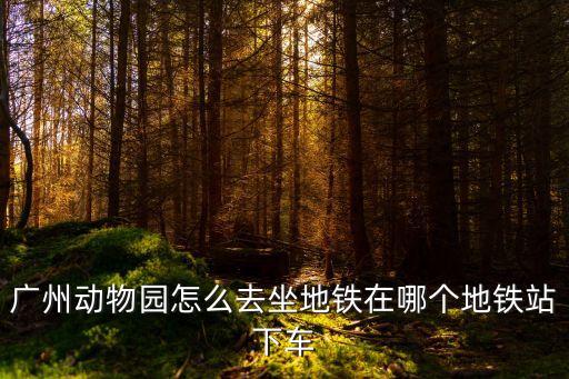 廣州動(dòng)物園怎么去坐地鐵在哪個(gè)地鐵站下車