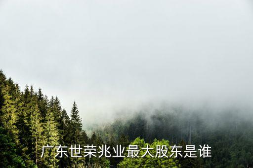 廣東世榮兆業(yè)最大股東是誰
