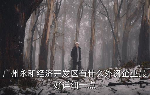 廣州永和經(jīng)濟開發(fā)區(qū)有什么外資企業(yè)最好詳細一點