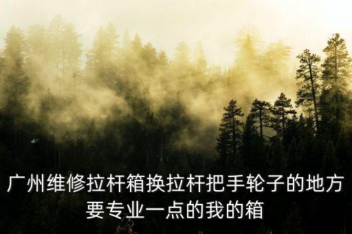 廣州維修拉桿箱換拉桿把手輪子的地方要專業(yè)一點(diǎn)的我的箱