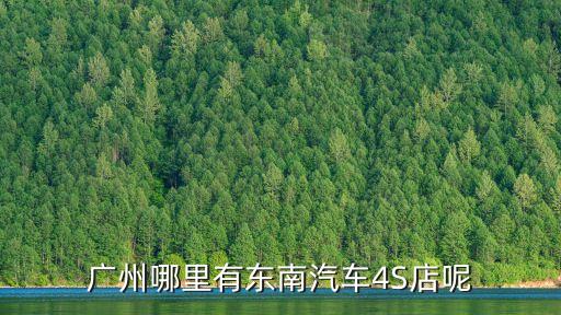 廣州哪里有東南汽車4S店呢