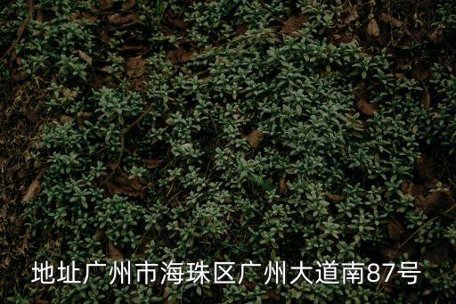 地址廣州市海珠區廣州大道南87號