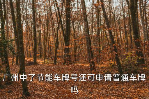 廣州中了節能車牌號還可申請普通車牌嗎