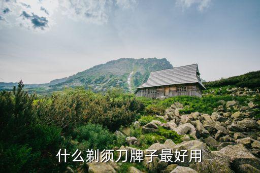 剃須刀排行榜，剃須刀哪個牌子的好剃須刀什么牌子最好