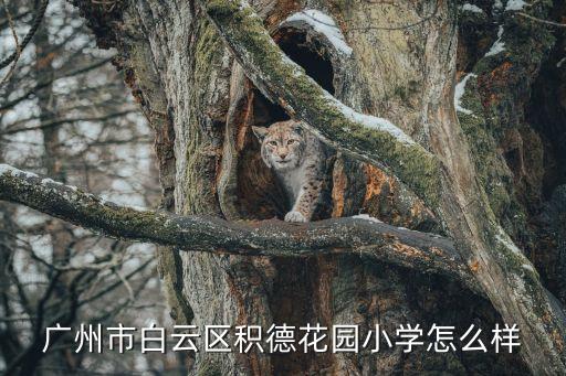 廣州市白云區(qū)積德花園小學怎么樣