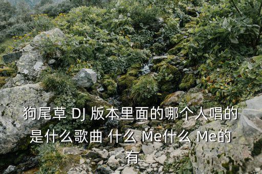 狗尾草 DJ 版本里面的哪個(gè)人唱的是什么歌曲 什么 Me什么 Me的 有