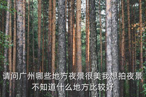 請(qǐng)問廣州哪些地方夜景很美我想拍夜景不知道什么地方比較好