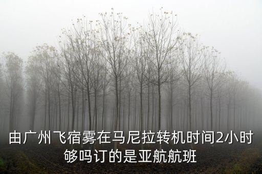 廣州馬尼拉公務(wù)艙視頻，由廣州飛宿霧在馬尼拉轉(zhuǎn)機(jī)時(shí)間2小時(shí)夠嗎訂的是亞航航班