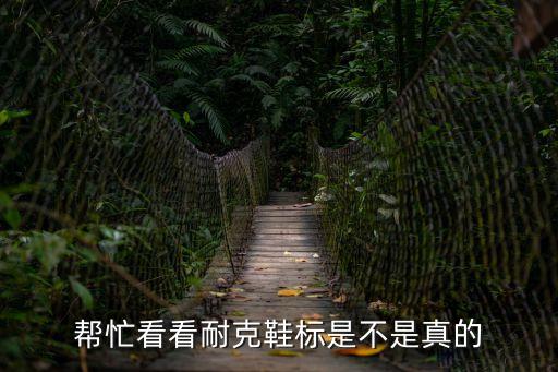 幫忙看看耐克鞋標是不是真的