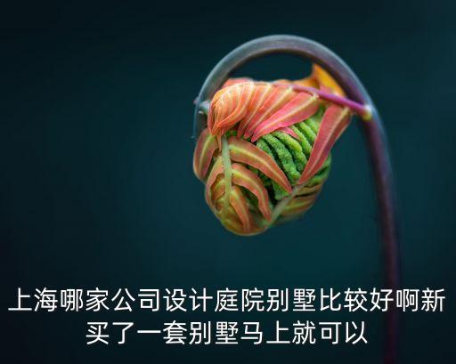 上海哪家公司設計庭院別墅比較好啊新買了一套別墅馬上就可以