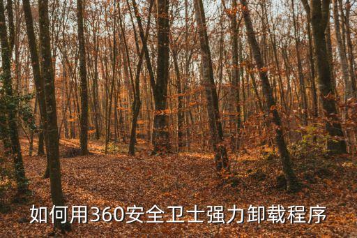 360強力卸載，360強力刪除在哪里