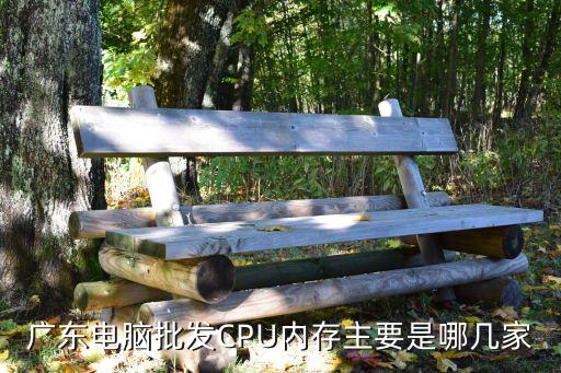 廣東電腦批發(fā)CPU內(nèi)存主要是哪幾家