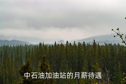 中石油加油站的月薪待遇