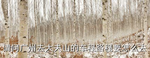 廣州華師到大夫山怎么走，從廣州去大夫山坐什么交通工具最快怎么走如果是從芳村出發(fā)呢