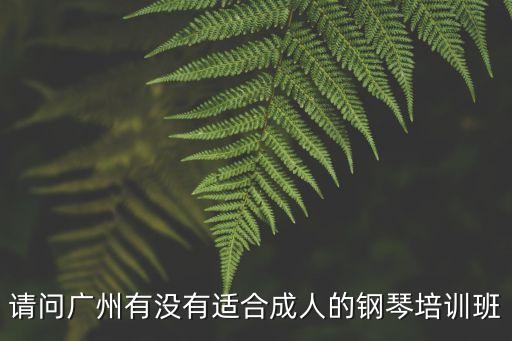 請問廣州有沒有適合成人的鋼琴培訓班