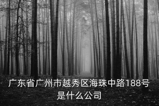 廣東省廣州市越秀區海珠中路188號是什么公司