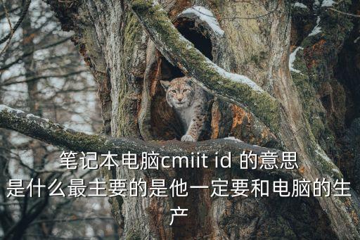 筆記本電腦cmiit id 的意思是什么最主要的是他一定要和電腦的生產