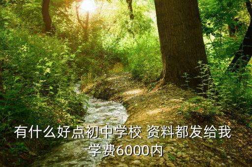 上海市蘭田初級(jí)中學(xué)博雅班，上海市和田中學(xué)怎么樣