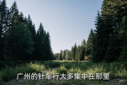 廣州棠溪南天針車行電話，廣州的針車行大多集中在那里