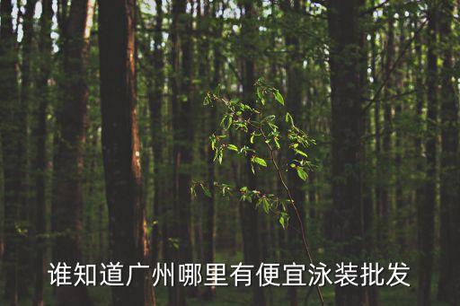 誰知道廣州哪里有便宜泳裝批發