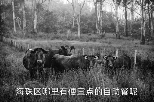 海珠區哪里有便宜點的自助餐呢