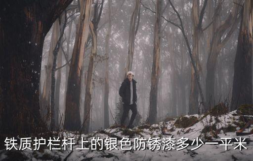 鐵質護欄桿上的銀色防銹漆多少一平米