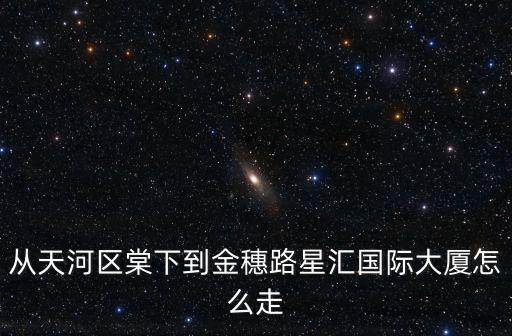 從天河區棠下到金穗路星匯國際大廈怎么走
