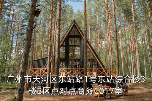 廣州市天河區東站路1號東站綜合樓3樓B區點對點商務C017室