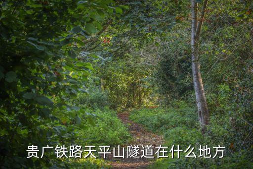 貴廣鐵路天平山隧道在什么地方