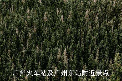 電腦組裝廣州塔，液晶電視哪個牌子的好
