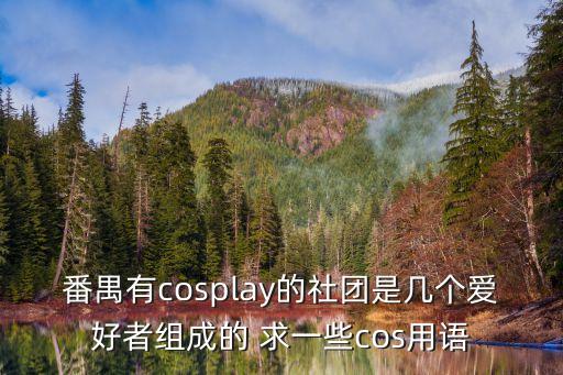 番禺有cosplay的社團(tuán)是幾個(gè)愛(ài)好者組成的 求一些cos用語(yǔ)
