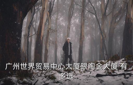 廣州世界貿易中心大廈跟淘金大廈 有多遠