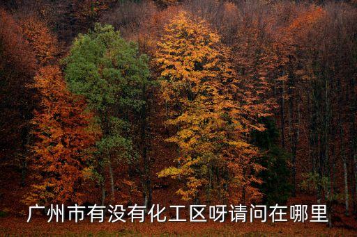 廣州市有沒有化工區呀請問在哪里
