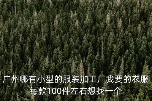 廣州哪有小型的服裝加工廠我要的衣服每款100件左右想找一個