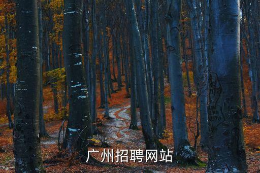 廣州康寧顯示科技招聘官網，專業PCB招聘網站