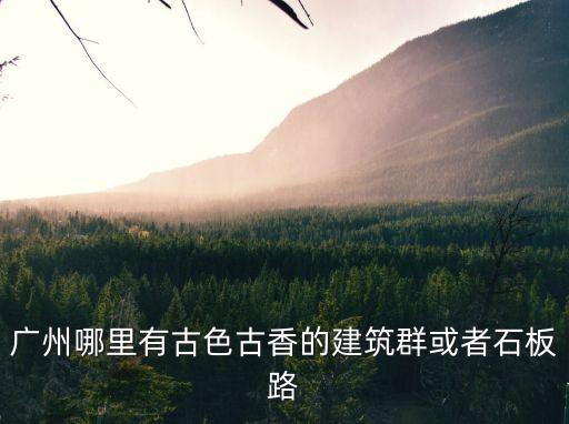 廣州哪里有古色古香的建筑群或者石板路