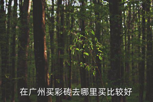 在廣州買彩磚去哪里買比較好